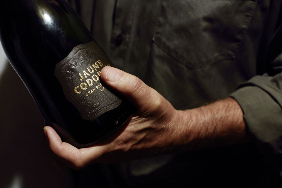 Penedès: Codorniu Winery Tour With Cava Tasting - Customer Reviews