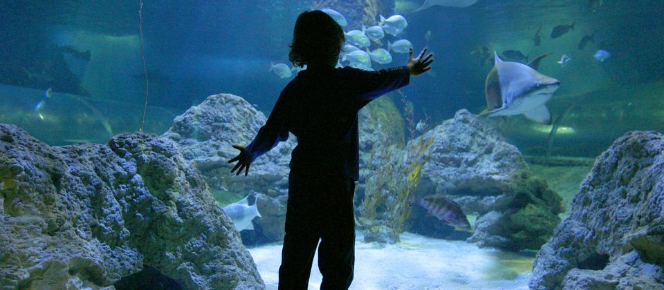 Perth: AQWA Aquarium of Western Australia Entry Tickets - Location and Distance From Perth CBD