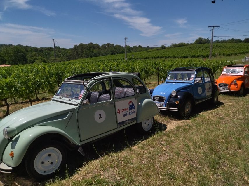 Pessac-Léognan : Citroën 2CV Private Half-Day Wine Tour - Private Tour Options in Vineyard Regions