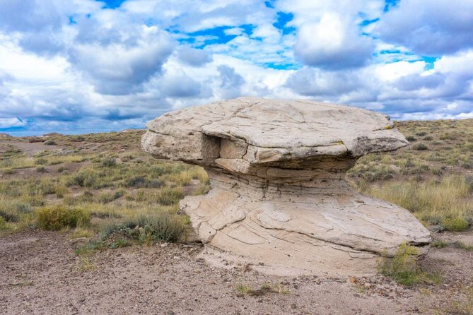 Petrified Forest National Park Self-Guided Driving Audio Tour - Tour Highlights