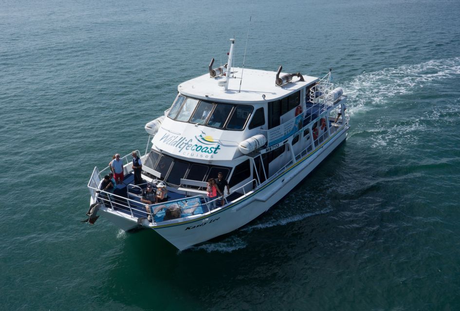 Philip Island: Dolphin and Whale Cruise - Customer Reviews and Ratings