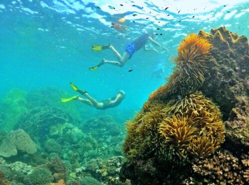 Phu Quoc Small-group Snorkeling to the Coral Jungle Reef - Last Words