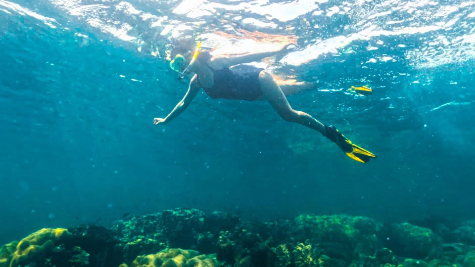 Phu Quoc: Snorkeling Discover Southern, Northern Coral Reefs - Directions