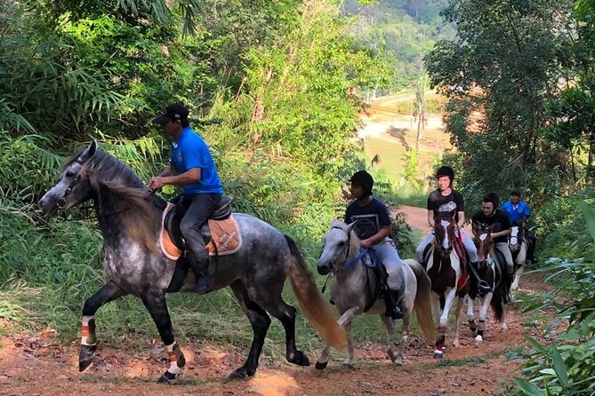 Phuket Horse Riding Experience - Child Ticket Age Range and Weight Limit