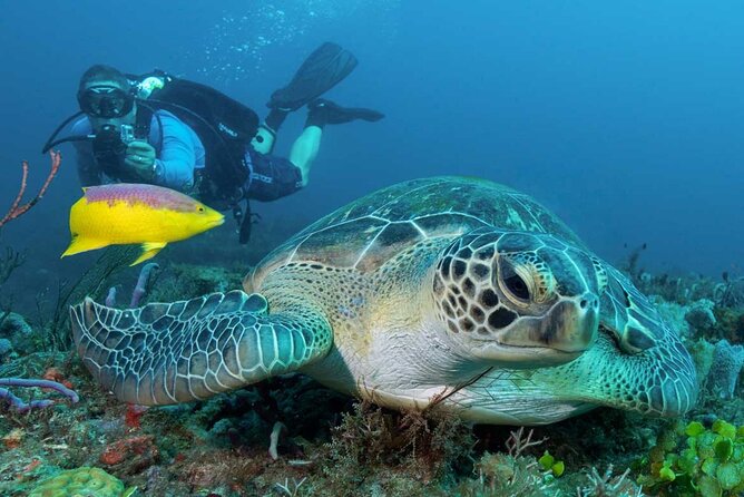 Phuket Scuba Diving and Snorkeling Offshore 2 Islands Full-Day by Speed Boat - Safety Precautions