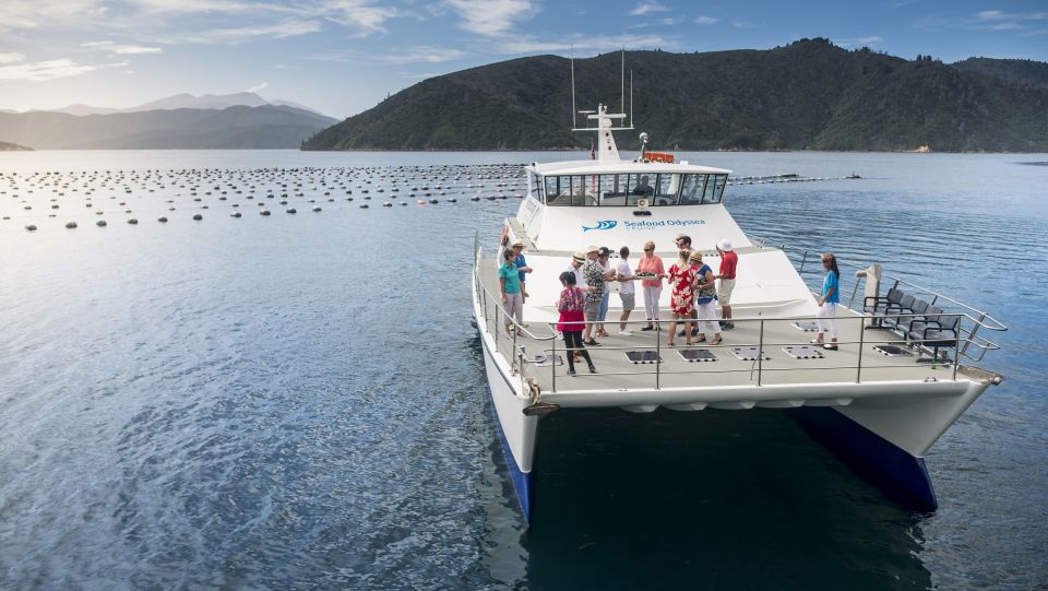 Picton and Marlborough Sounds: Seafood Odyssea Cruise - Location & Logistics