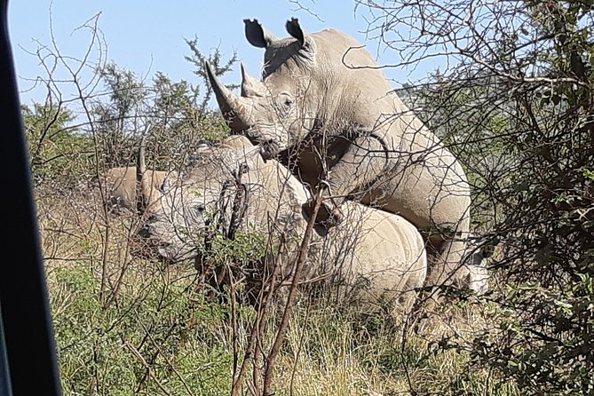 Pilanesberg National Park Full-Day Tour From Johannesburg - Common questions