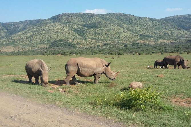 Pilanesberg National Park One-Day Safari From Johannesburg - Additional Information and Resources
