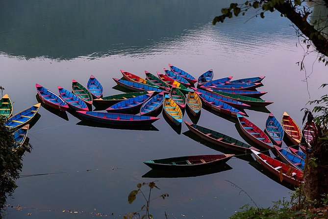 Pleasing Pokhara City With Captivating Chitwan Jungle Tour From Kathmandu - Booking Information and Pricing