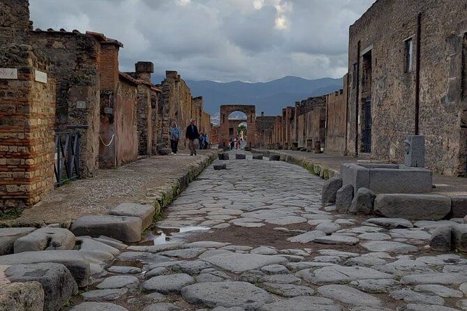 Pompeii and Herculaneum With Wine Tour - Expert Tour Guides