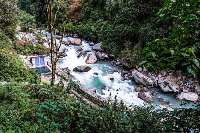 POON HILL HOT SPRING - 10 Days Trek - Food and Dining Experiences