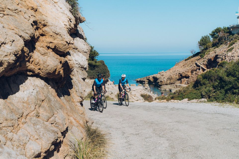 Port De Pollença: Ultimate Bike Rental - Additional Information and Focus