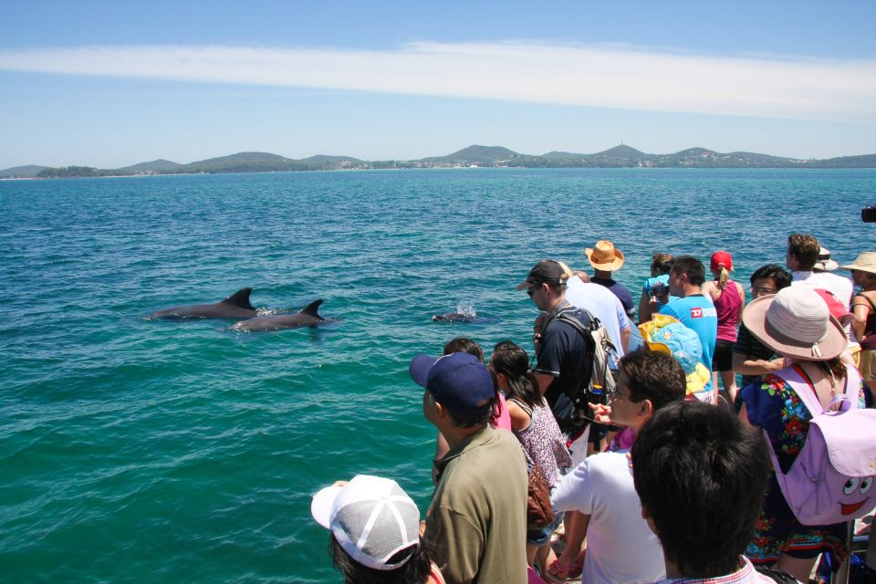 Port Stephens: Dolphin Watching Cruise - Last Words