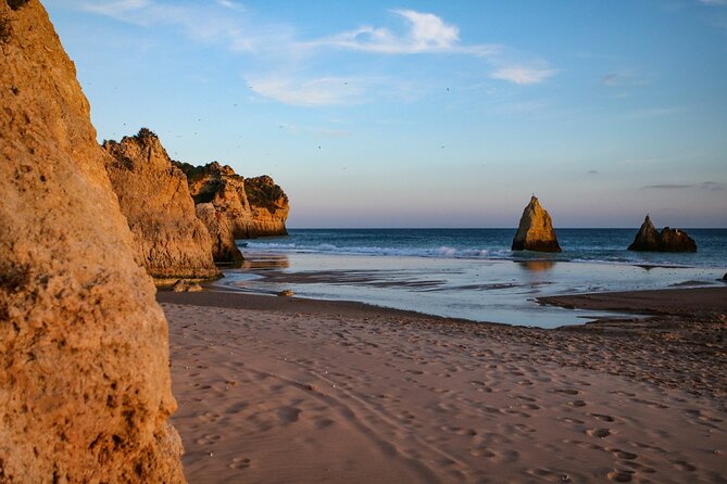 Portimão and Lagoa: Algarve Nature & Wildlife Tour in a VW T2 Van - Brunch and Entertainment Included