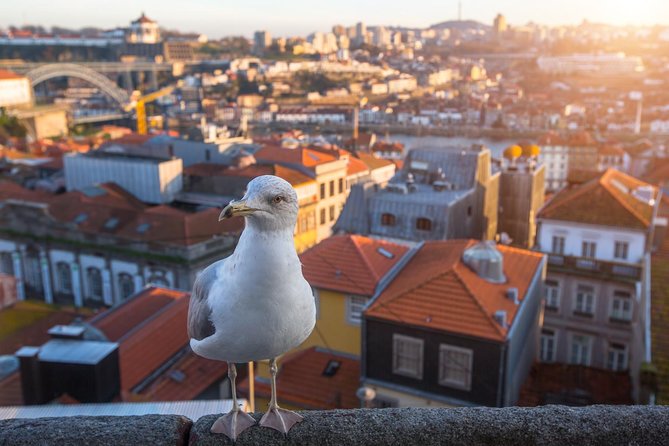 Porto Vintage Hop on Hop off - Traveler Photos and Experiences