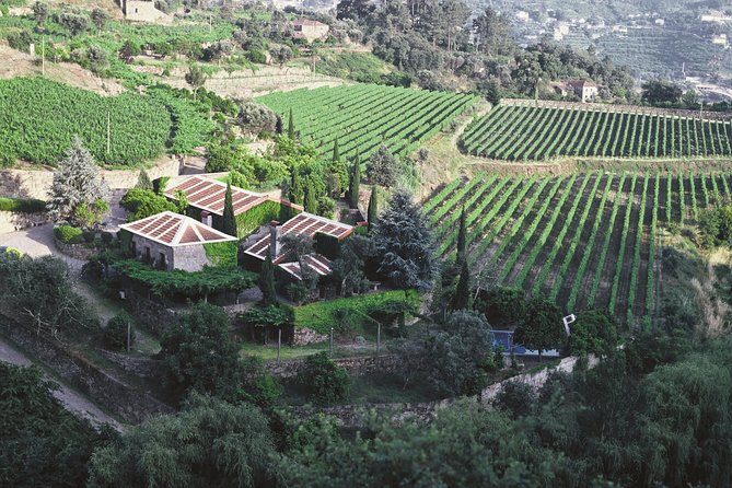 Premium Private Douro & Vinho Verde Tour: Wine Tastings & Lunch - Logistics and Itinerary Details