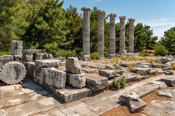 Priene Miletus Didyma Tour From Kusadasi & Selcuk Hotels - Common questions