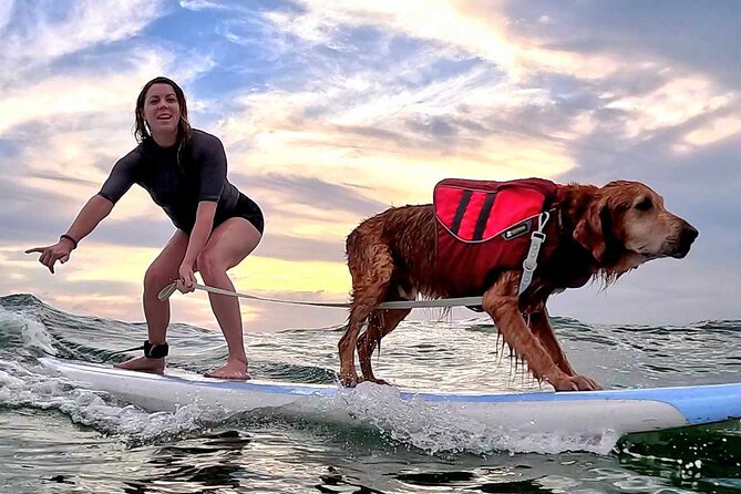 Private 1-On-1 Surfing Lesson With Videos and Photos - Last Words