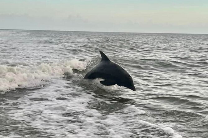 Private 2.5 Hour Sunset Cruise in 10,000 Islands Naples, FL - Common questions