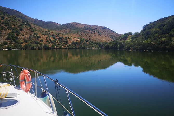 Private Boat Tour on the Douro River - Customer Reviews