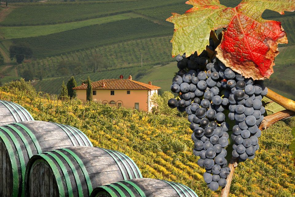 Private Chianti Tour and Wine Tasting - Customer Reviews