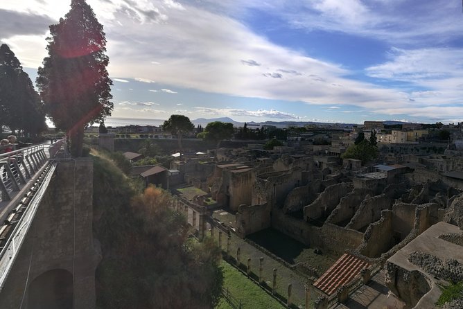 Private Day Tour: Herculaneum and Wine Tasting - Weather Considerations