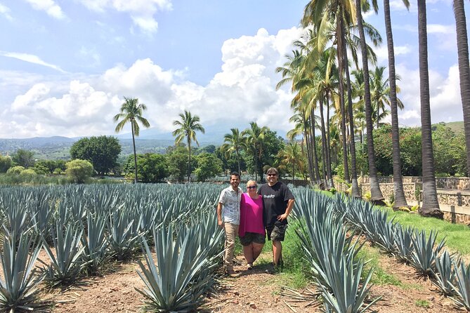 Private Day Tour of Guachimontones & Tequila - Agave Fields Exploration