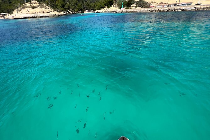 Private Day Tour of Mallorca by Boat - Weather Policy