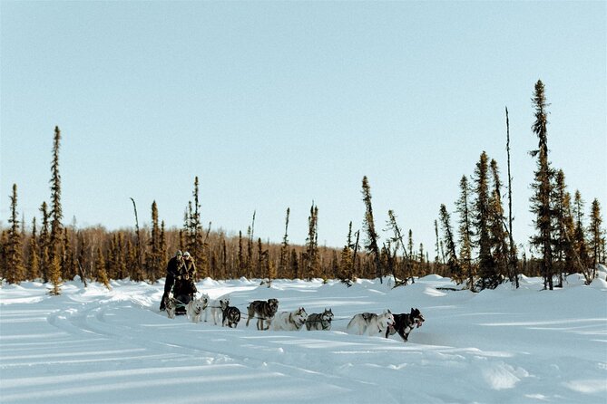 Private Dog Sled Tour - Participant Requirements