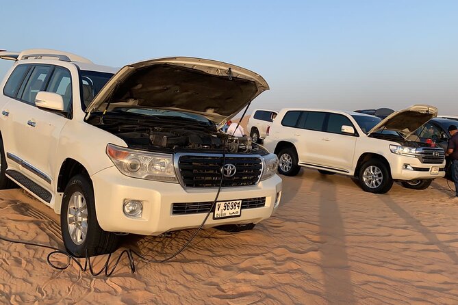 Private Dubai Desert Safari Tour - Safety Guidelines