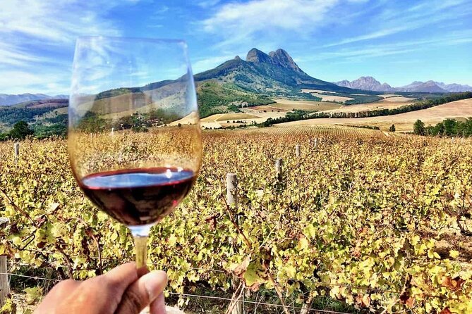 Private Full-Day Stellenbosch Wine Tour - Booking Instructions and Recommendations