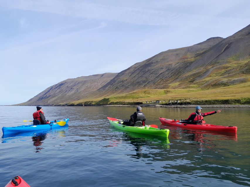 Private: Guided Kayak Tour in Siglufjörður / Siglufjordur. - Booking and Reservation Details