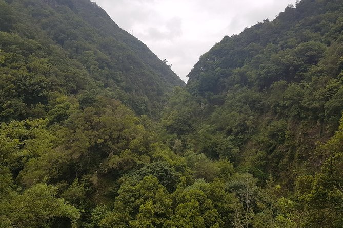 Private Guided Walk Levada Castelejo - Contact Information