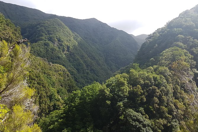 Private Guided Walk Levada Ribeira Da Janela - Cancellation Policy and Refunds