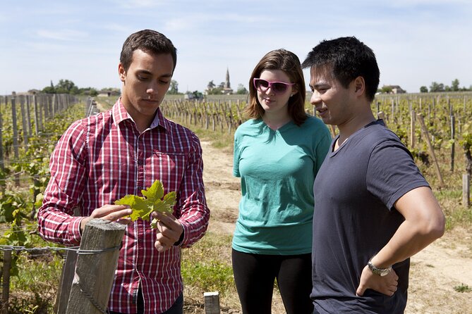 Private Guided Winery Tour With Wine Tasting in Lalande De Pomerol - Last Words