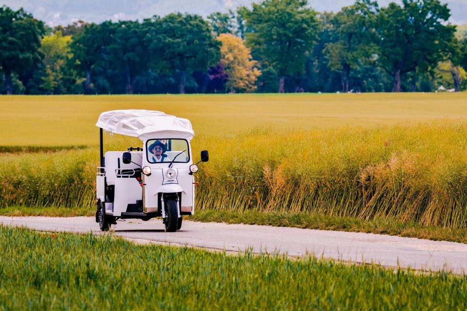 Private Highlights Top Places Tour Electric TukTuk 1h - Customer Reviews and Feedback