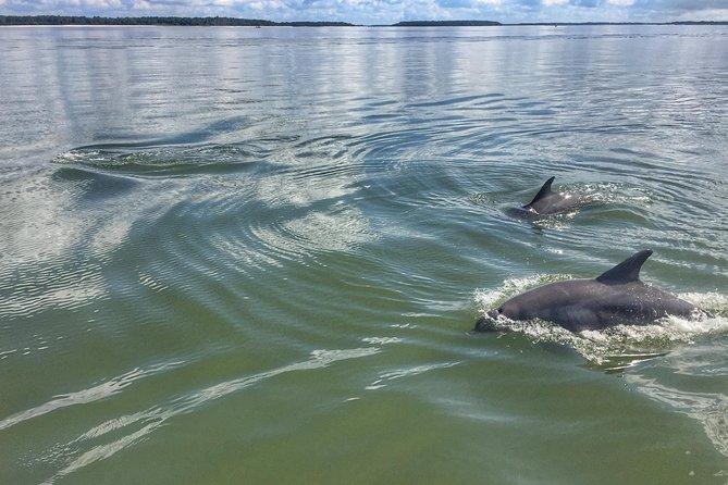 Private Hilton Head Dolphin Tour - Booking Confirmation
