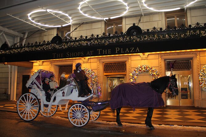 Private Horse-Drawn Carriage Ride of New York City - Cancellation Policy Overview