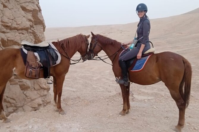 Private Horse Riding Tour in Luxor West Bank - Reviews and Ratings Overview