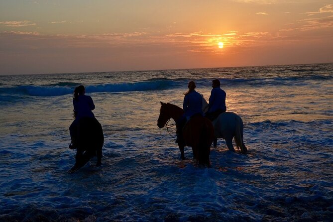 Private Horseback and La Bufadora Shore Excursion - Directions