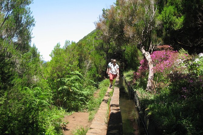 Private Madeira Tour 8 People - Inclusions and Exclusions
