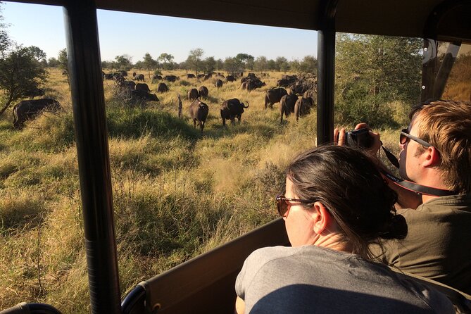 Private Morning Game Drive From Hazyview L Kruger National Park - Last Words