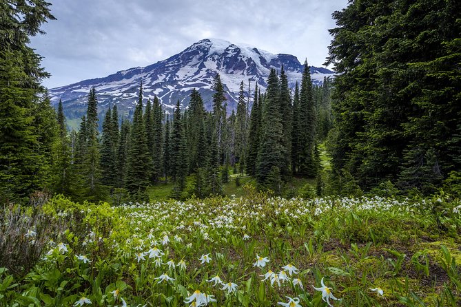 Private Mt Rainier National Park Day Trip From Seattle - Longmire Visitor Center Visit