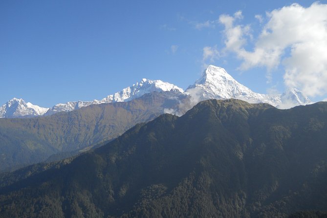 Private Multi Day Nepal Poon Hill Trekking Tour - Traveler Reviews