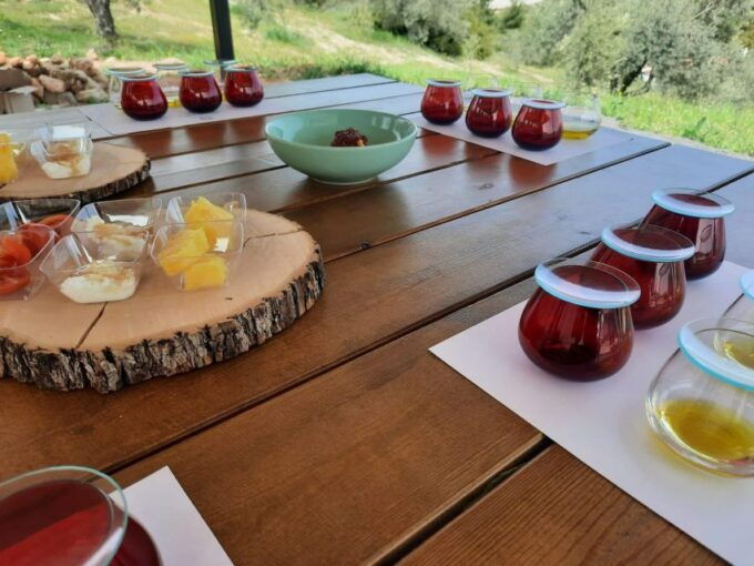 Private Olive Oil Tasting Tour of Peloponnese With a Pickup - Booking Details