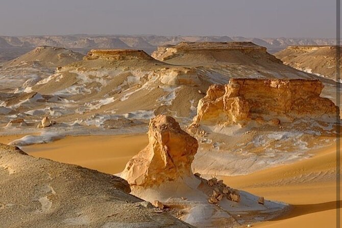 Private One Day Tour to the White Desert From Cairo - Expert Tour Guide