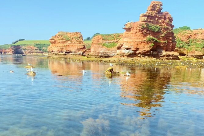 Private Paddle Board Tour to Ladram Bay From Sidmouth - Last Words