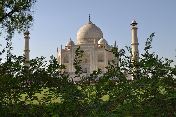 Private Sunrise Taj Mahal Tour From Delhi by Car-All Inclusive - Customer Testimonials