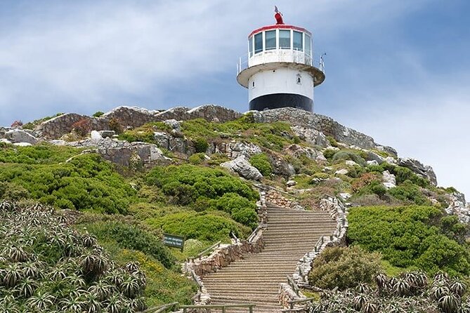 Private: Table Mountain, Cape Point and Penguin Colony - Weather Policy and Considerations