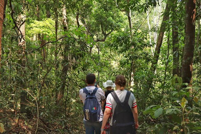 Private Tour Doi Inthanon And Trekking Nature Trail, Chiang Mai - Common questions